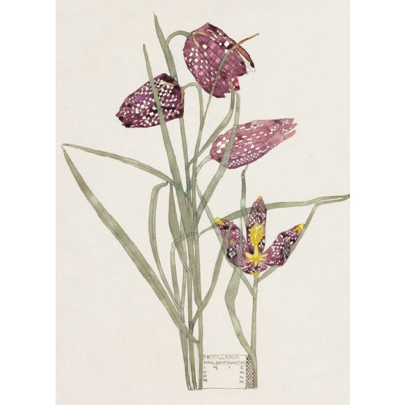 Mackintosh Flowers 8 Rectangle Notecards Wallet - Bee's Emporium