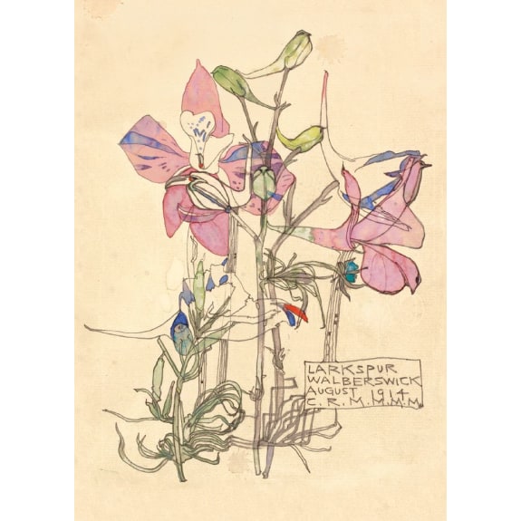 Mackintosh Flowers 8 Rectangle Notecards Wallet - Bee's Emporium