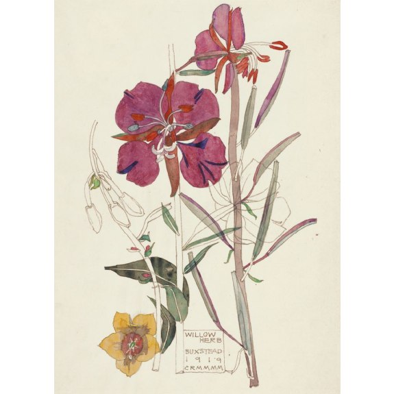 Mackintosh Flowers 8 Rectangle Notecards Wallet - Bee's Emporium
