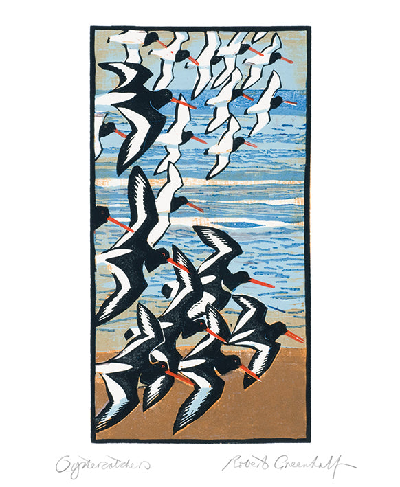 Curlews & Oystercatchers 8 Rectangle Notecard Wallet - Bee's Emporium