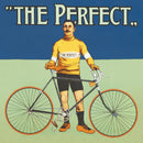 The Perfect Bicycle Blank Greeting Card with Envelope