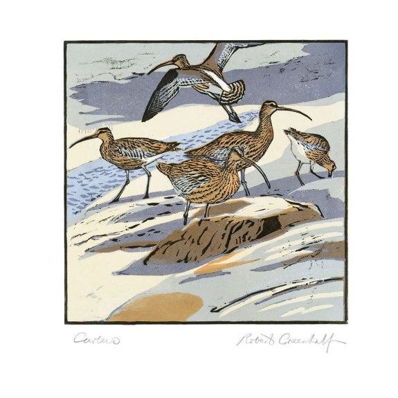 Curlews & Oystercatchers 8 Rectangle Notecard Wallet - Bee's Emporium