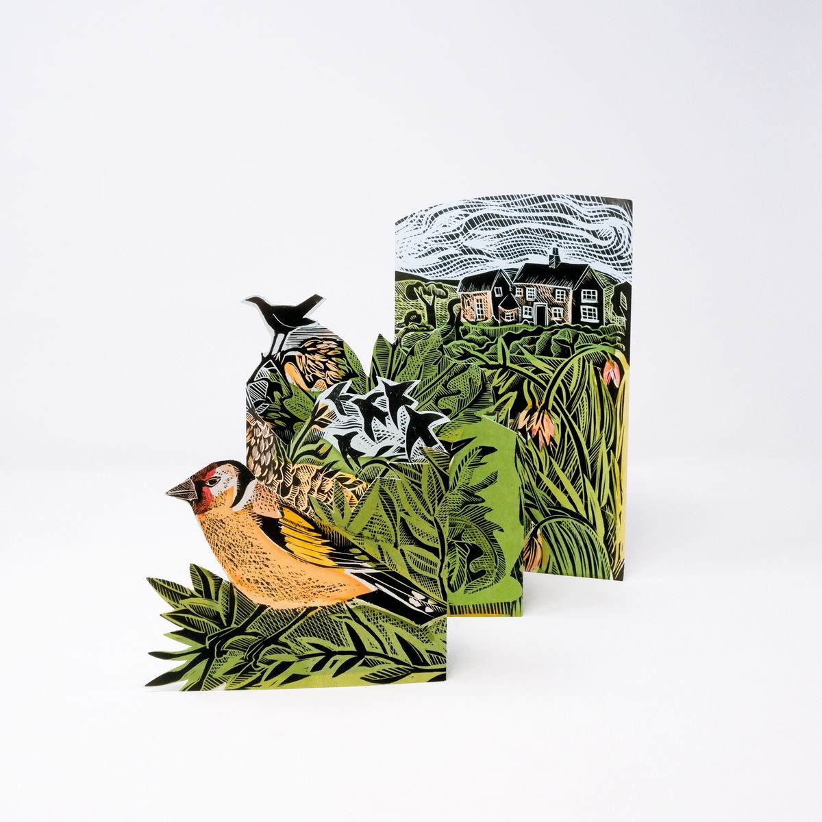 Garden Birds by Angela Harding 3D Concertina Greeting Card with Envelope