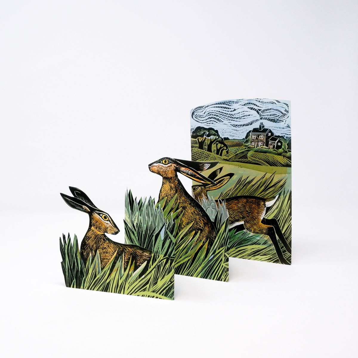 Hare and Open Fields by Angela Harding 3D Concertina Greeting Card with Envelope