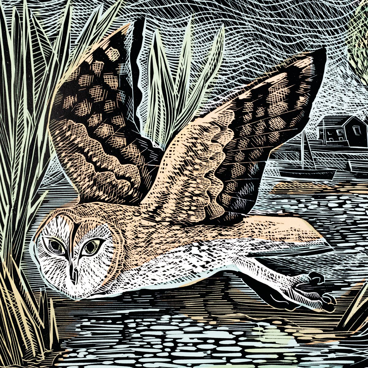 Angela Harding Marsh Owl Blank Greeting Card with Envelope - Bee's Emporium