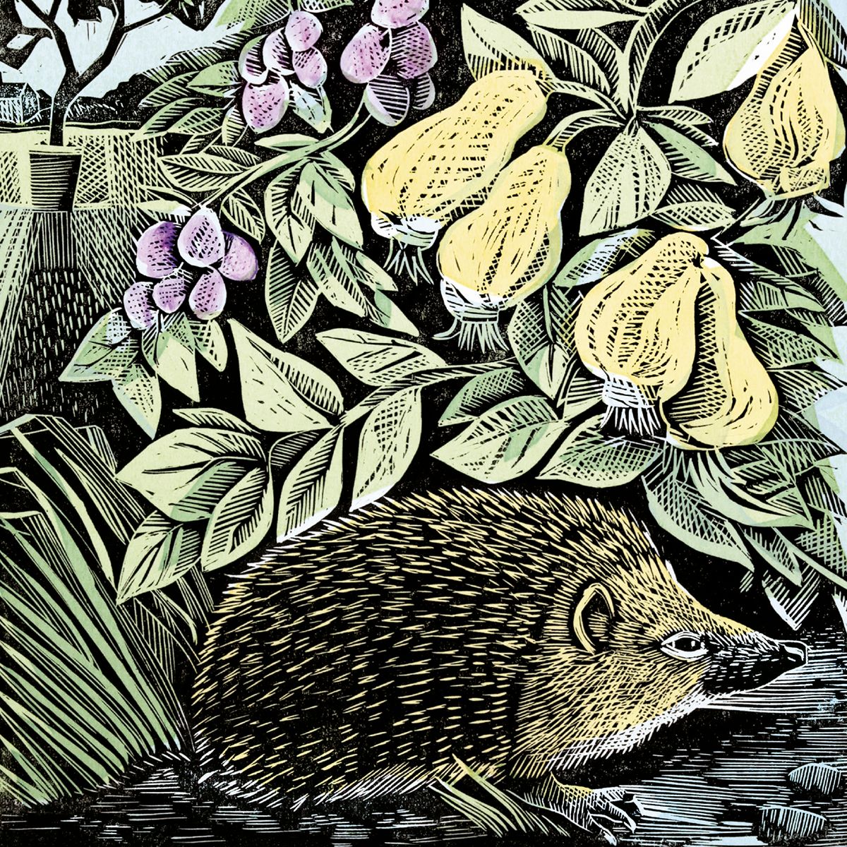 Angela Harding Hedgehog and Fruits Blank Greeting Card with Envelope - Bee's Emporium