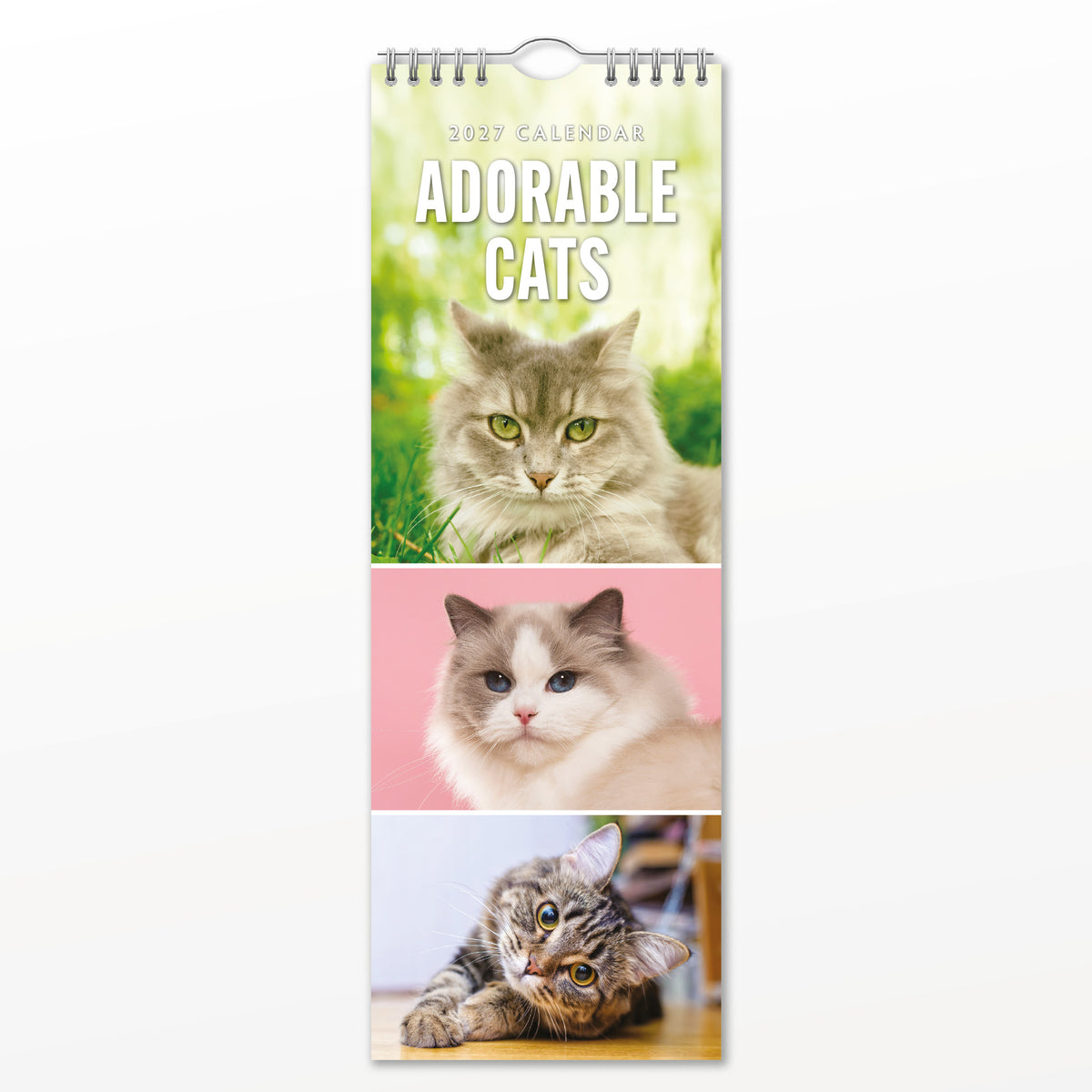 Adorable Cats 2027 Slim Wall Calendar