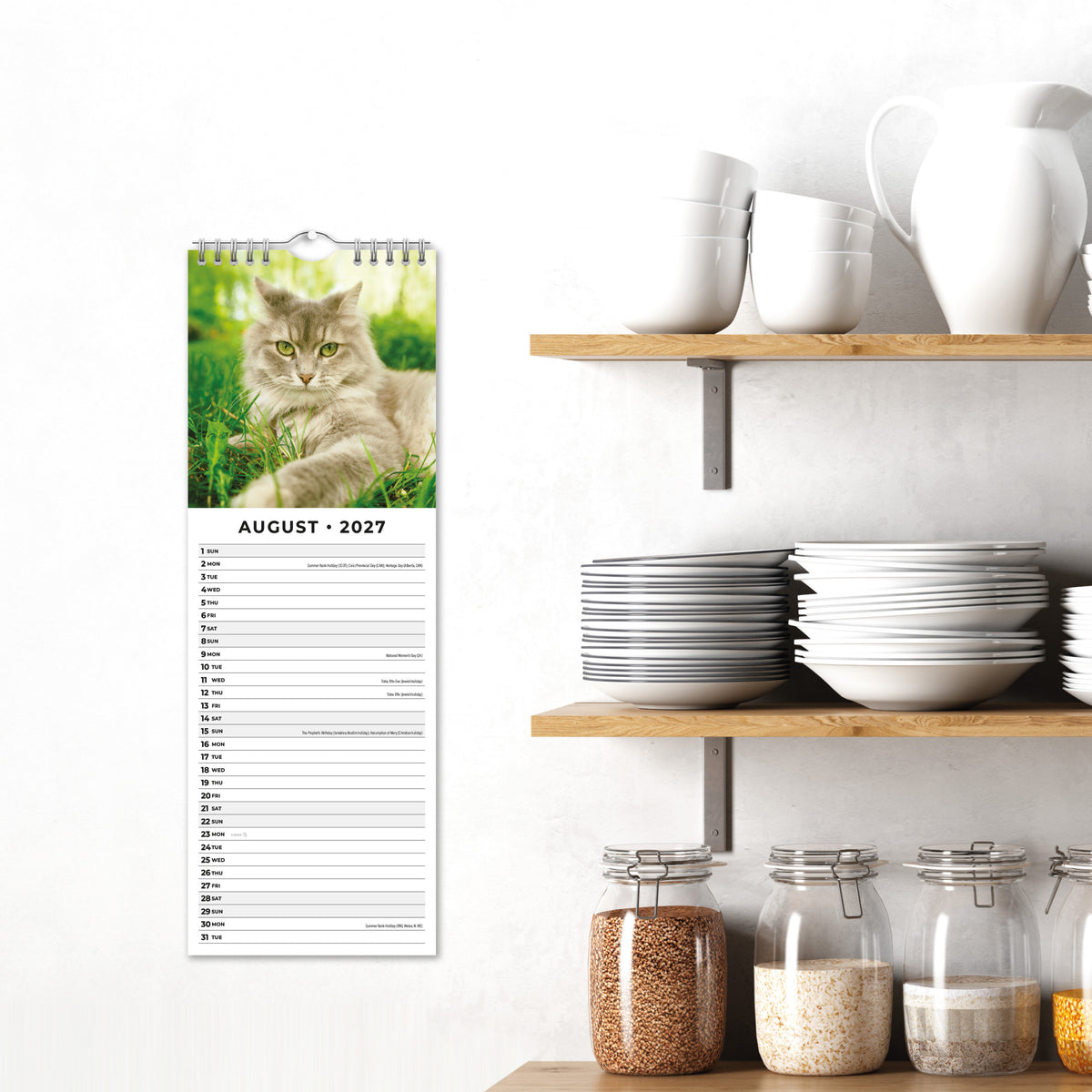 Adorable Cats 2027 Slim Wall Calendar