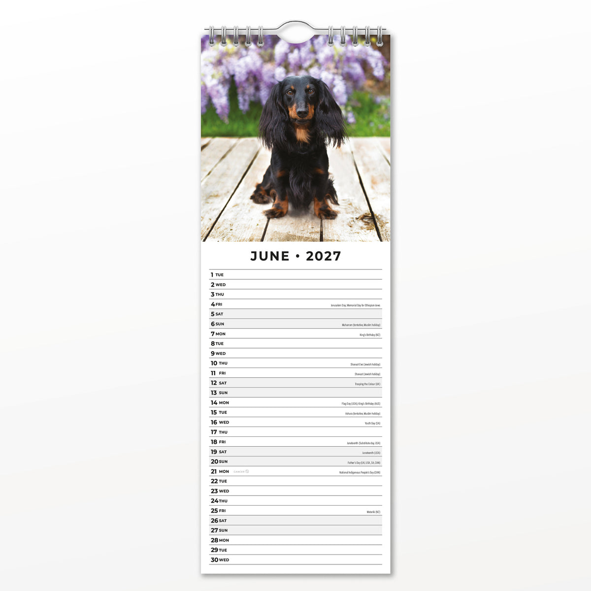 Adorable Dogs 2027 Slim Wall Calendar