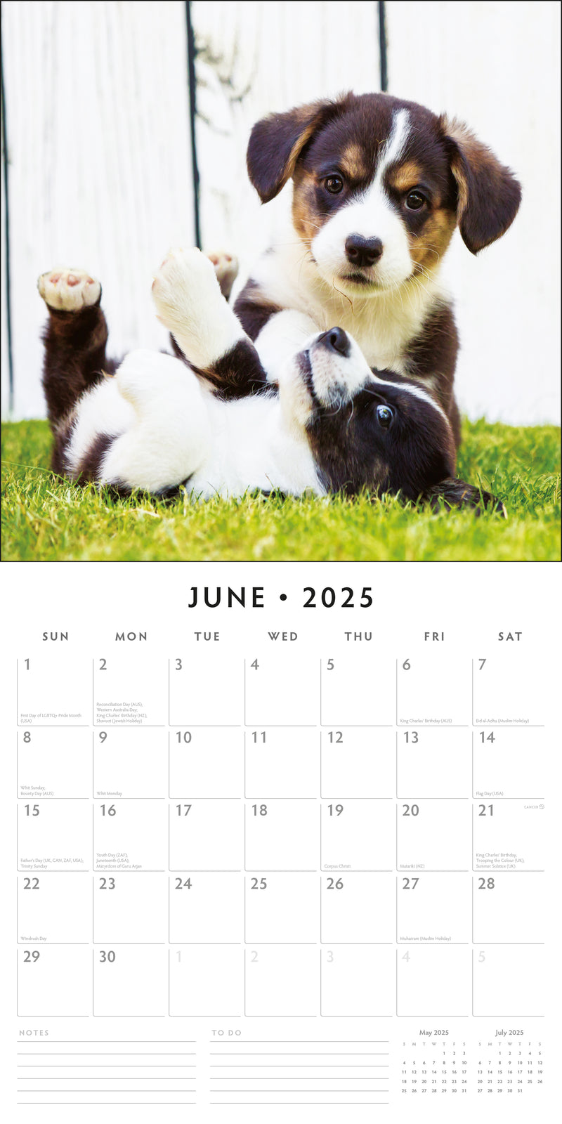 Adorable Dogs 2025 Square Wall Calendar