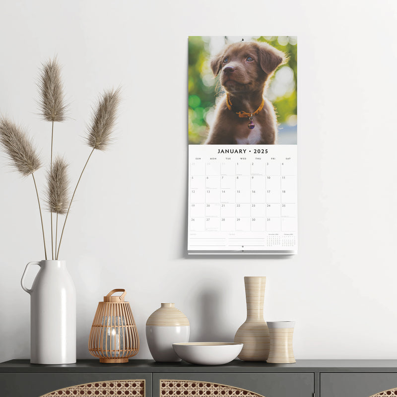 Adorable Dogs 2025 Square Wall Calendar