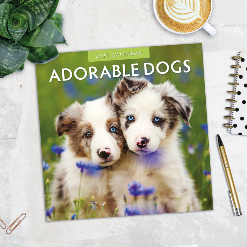 Adorable Dogs 2025 Square Wall Calendar