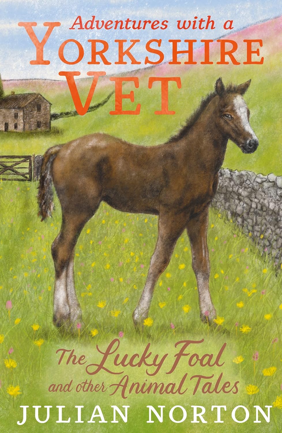Adventures with a Yorkshire Vet: The Lucky Foal and Other Animal Tales (Hardcover) - Bee's Emporium