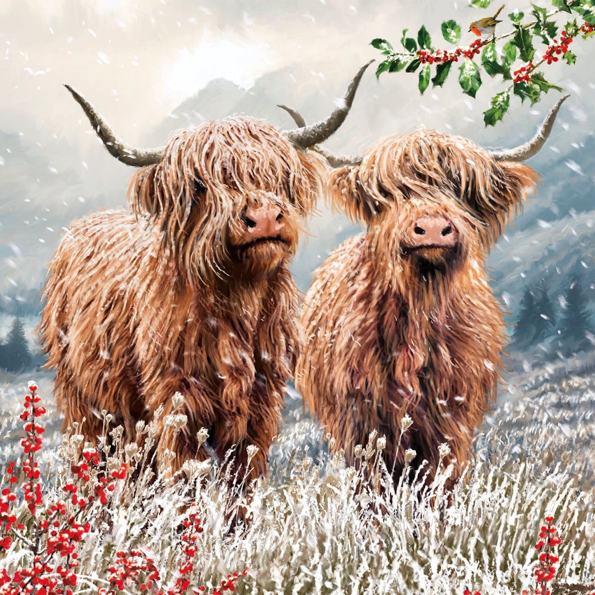 Highland Cattle by Ian Saxton Pack of 8 Charity Christmas Cards