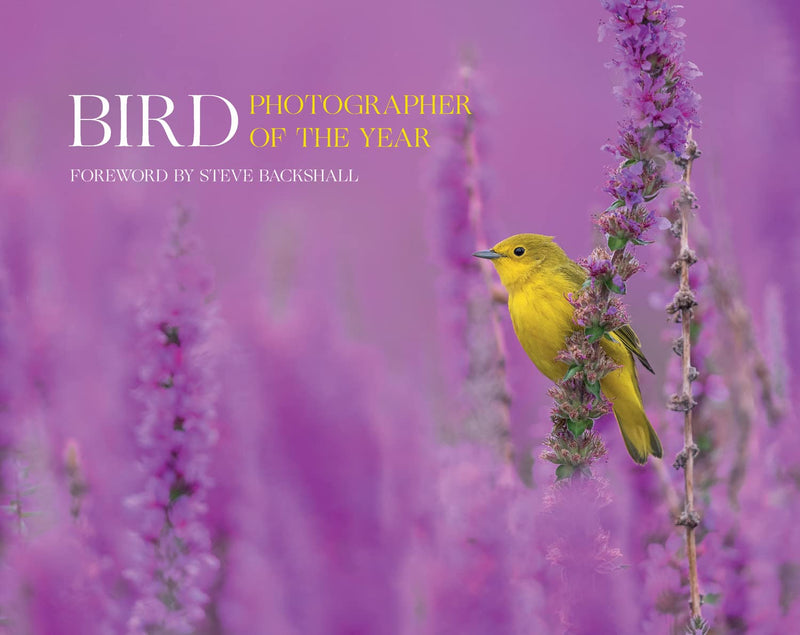 Bird Photographer of the Year: Collection 7 (Hardcover)
