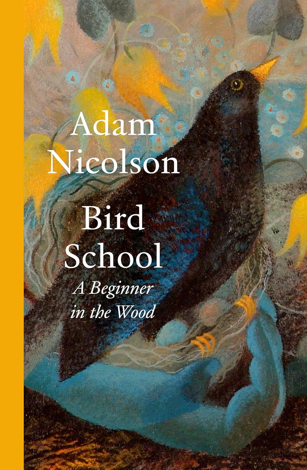 Bird School: A Beginner in the Wood by Adam Nicolson (Hardcover)
