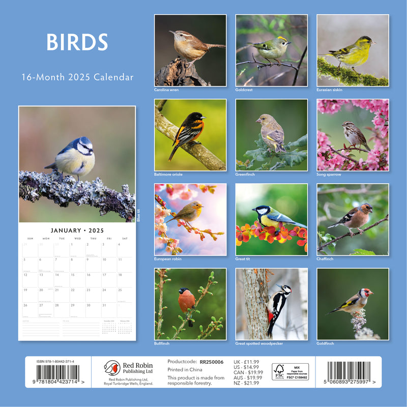 Birds 2025 Square Wall Calendar