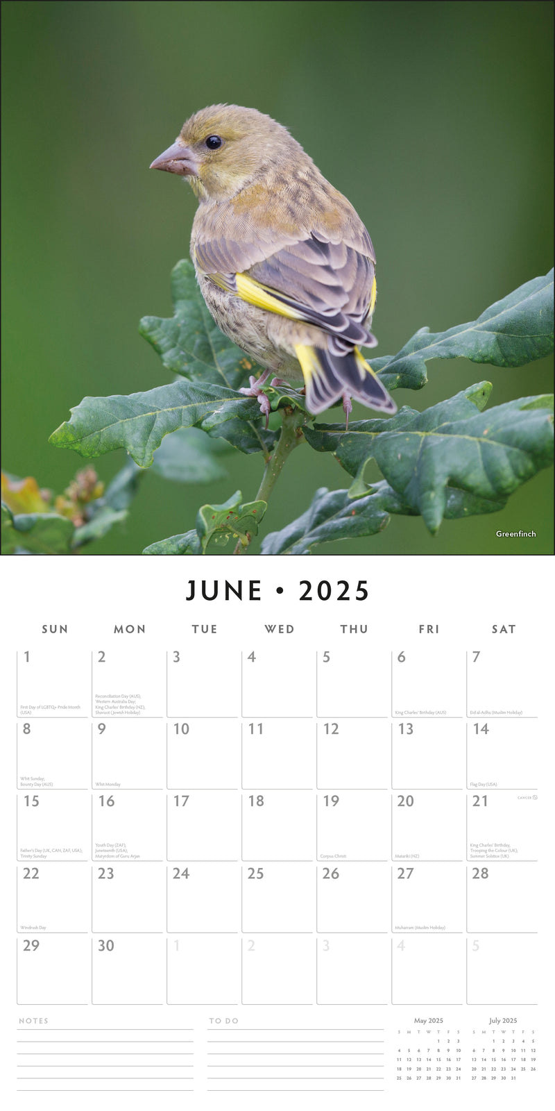 Birds 2025 Square Wall Calendar