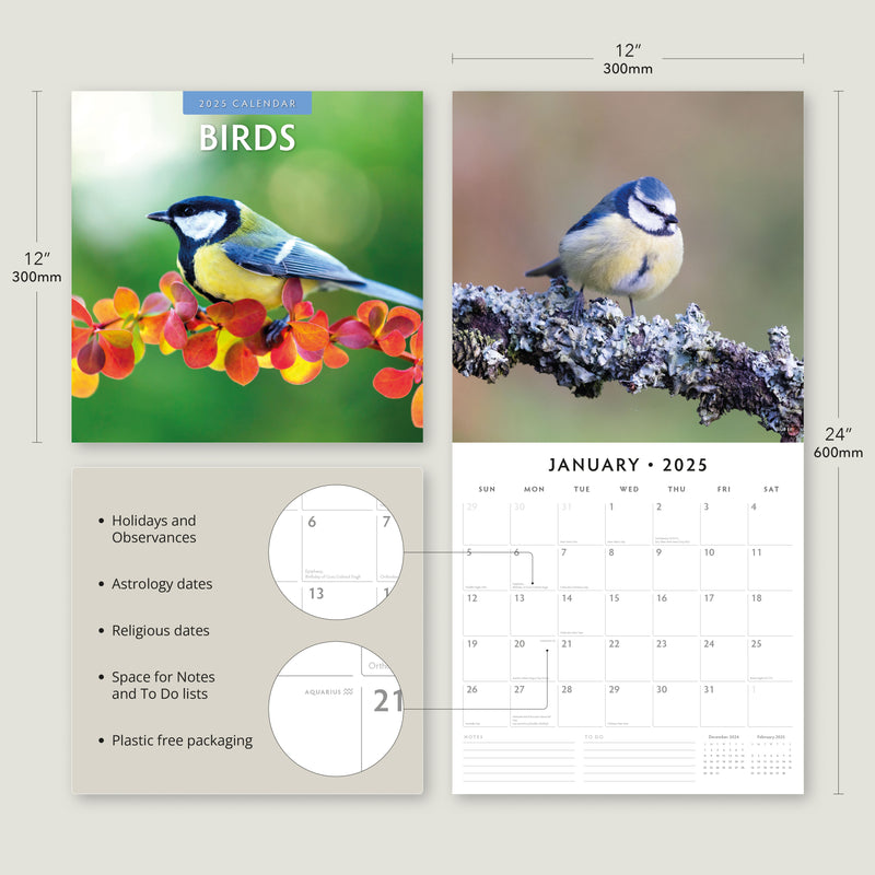 Birds 2025 Square Wall Calendar