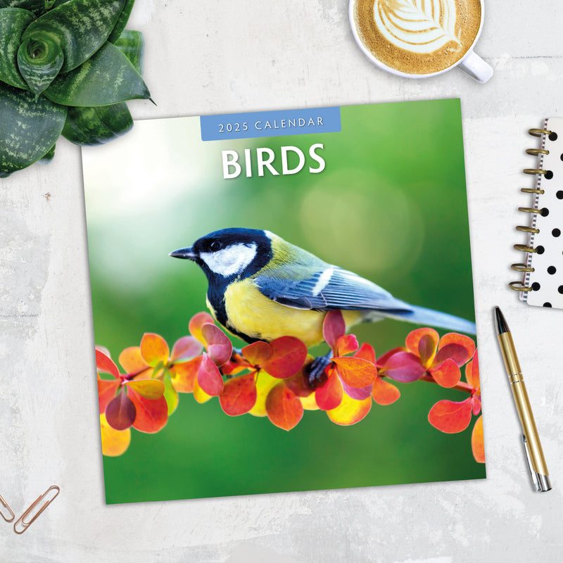 Birds 2025 Square Wall Calendar