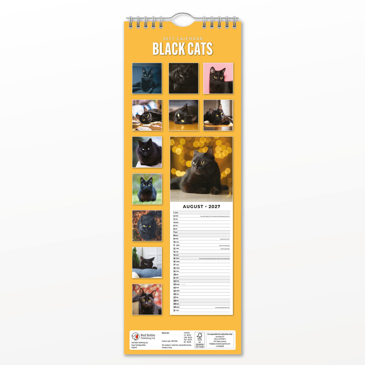 Black Cats 2027 Slim Wall Calendar