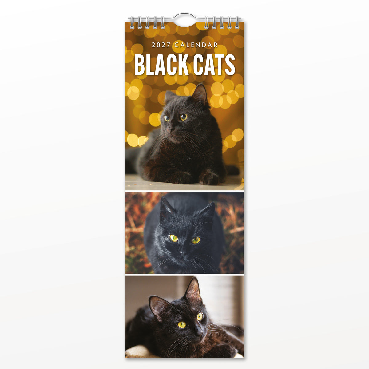 Black Cats 2027 Slim Wall Calendar