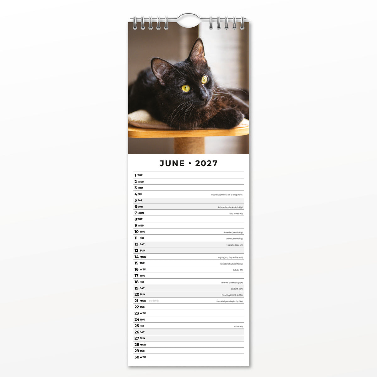 Black Cats 2027 Slim Wall Calendar