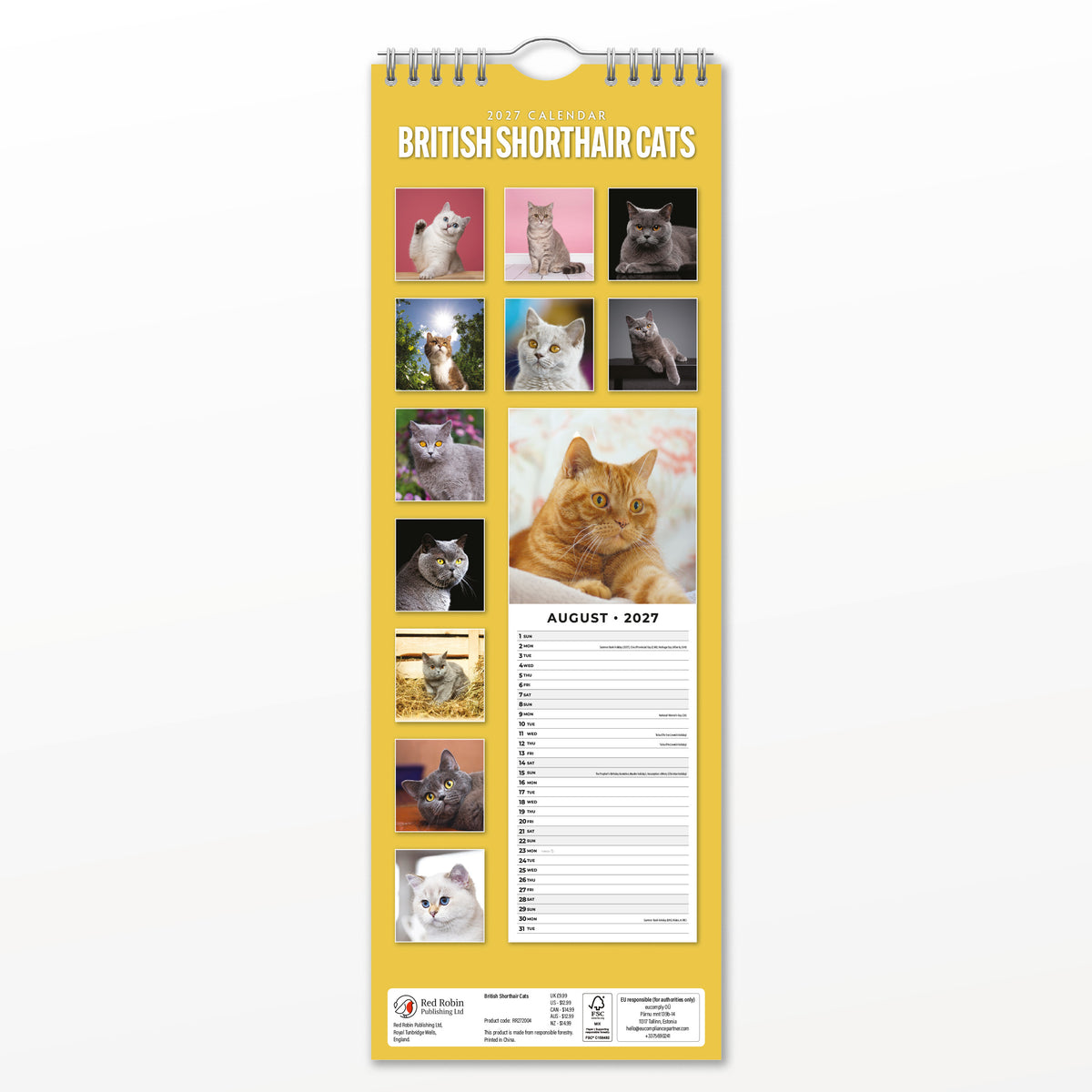 British Shorthair Cats 2027 Slim Wall Calendar