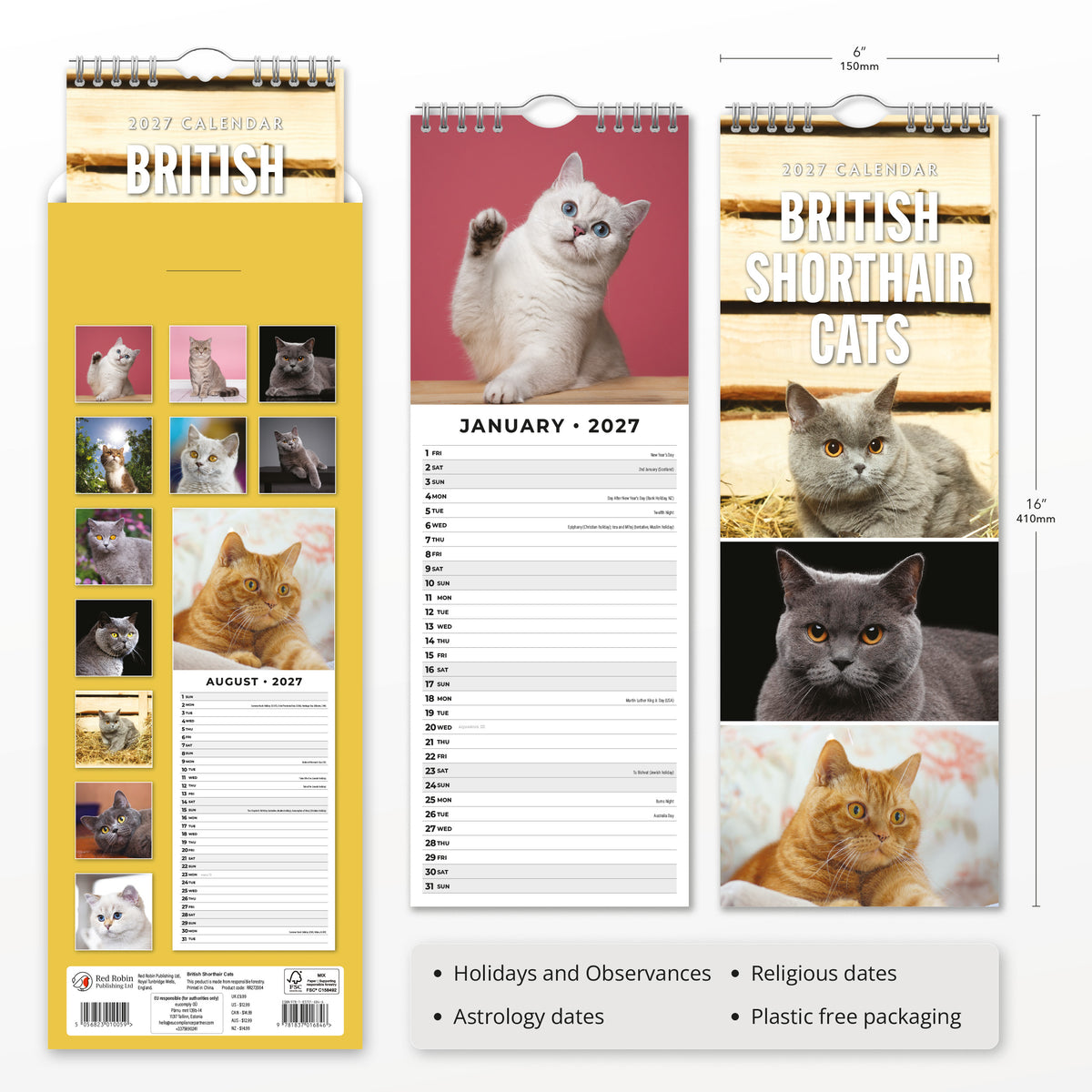 British Shorthair Cats 2027 Slim Wall Calendar