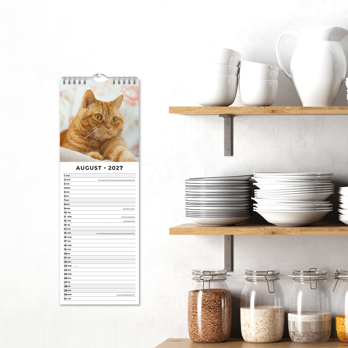 British Shorthair Cats 2027 Slim Wall Calendar