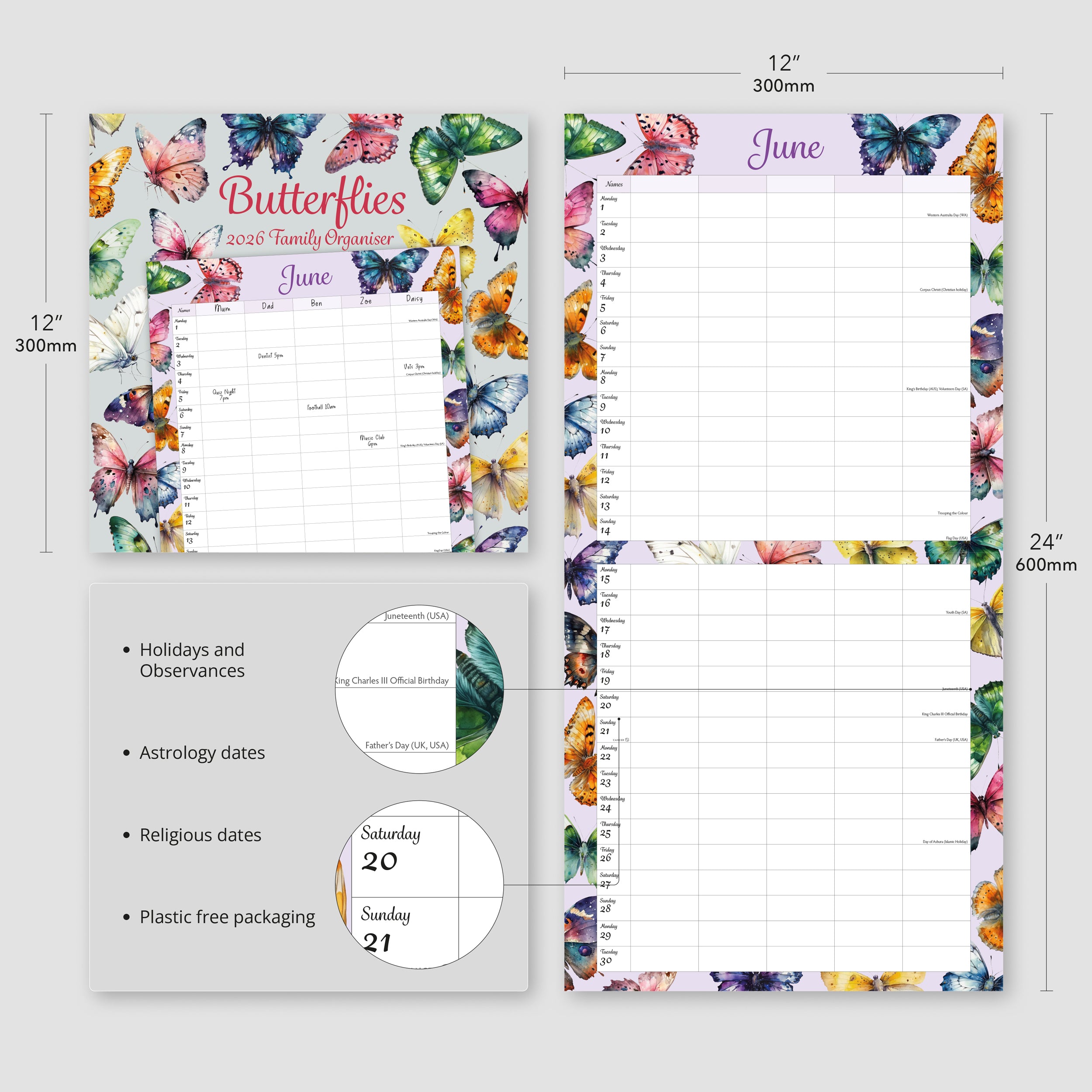 Butterflies Illustrated Family Organiser - 2026 Square Wall Calendar