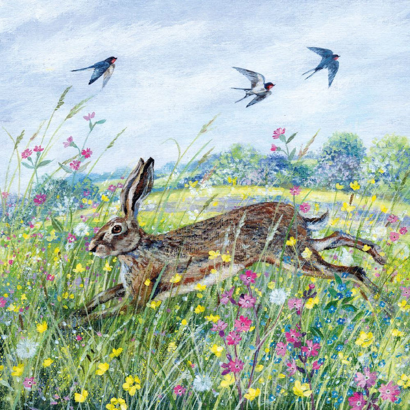 Coast and Country - Hare and Swallows Blank Greeting Card with Envelope