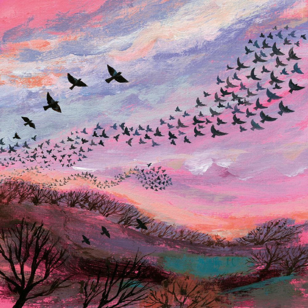 Coast and Country - Red Sky at Night Blank Greeting Card with Envelope - Bee's Emporium