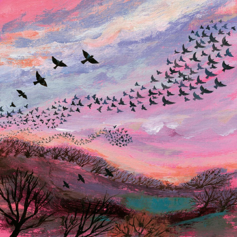 Coast and Country - Red Sky at Night Blank Greeting Card with Envelope