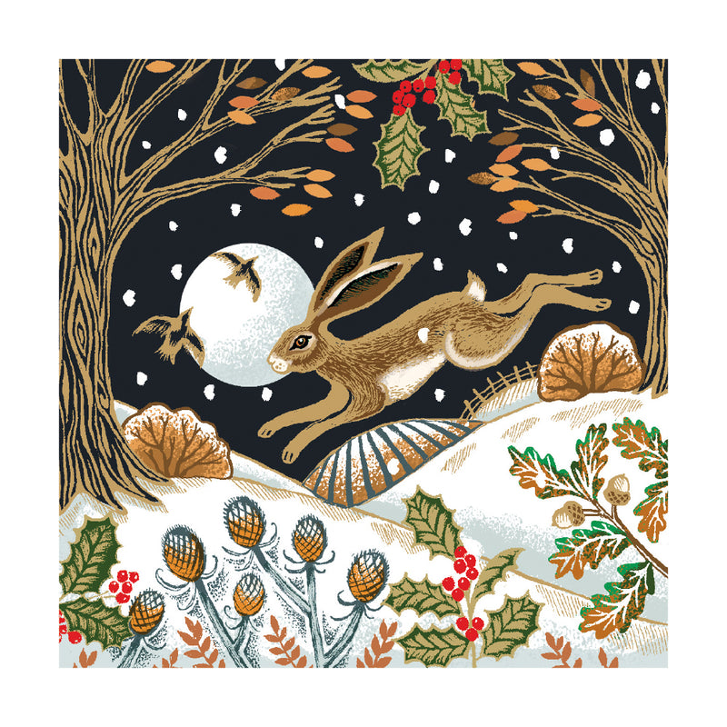 Woodland Hare by Deva Evans Pack of 8 Christmas Cards