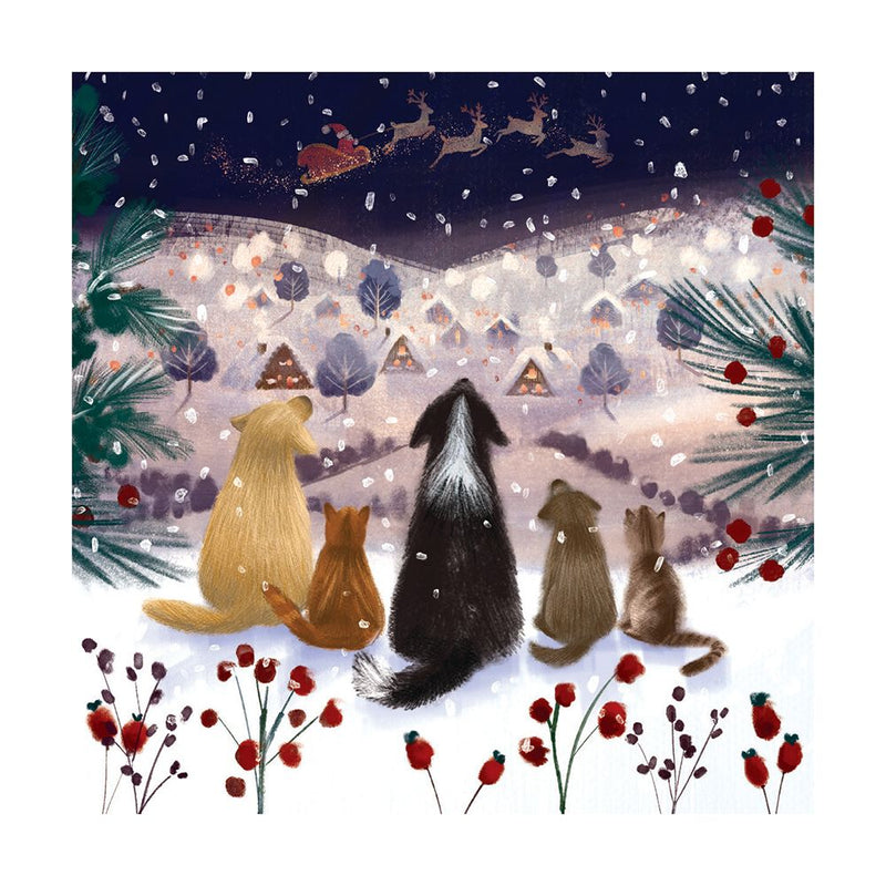 A Winter's Tail by Catherine Worsley Pack of 8 Christmas Cards