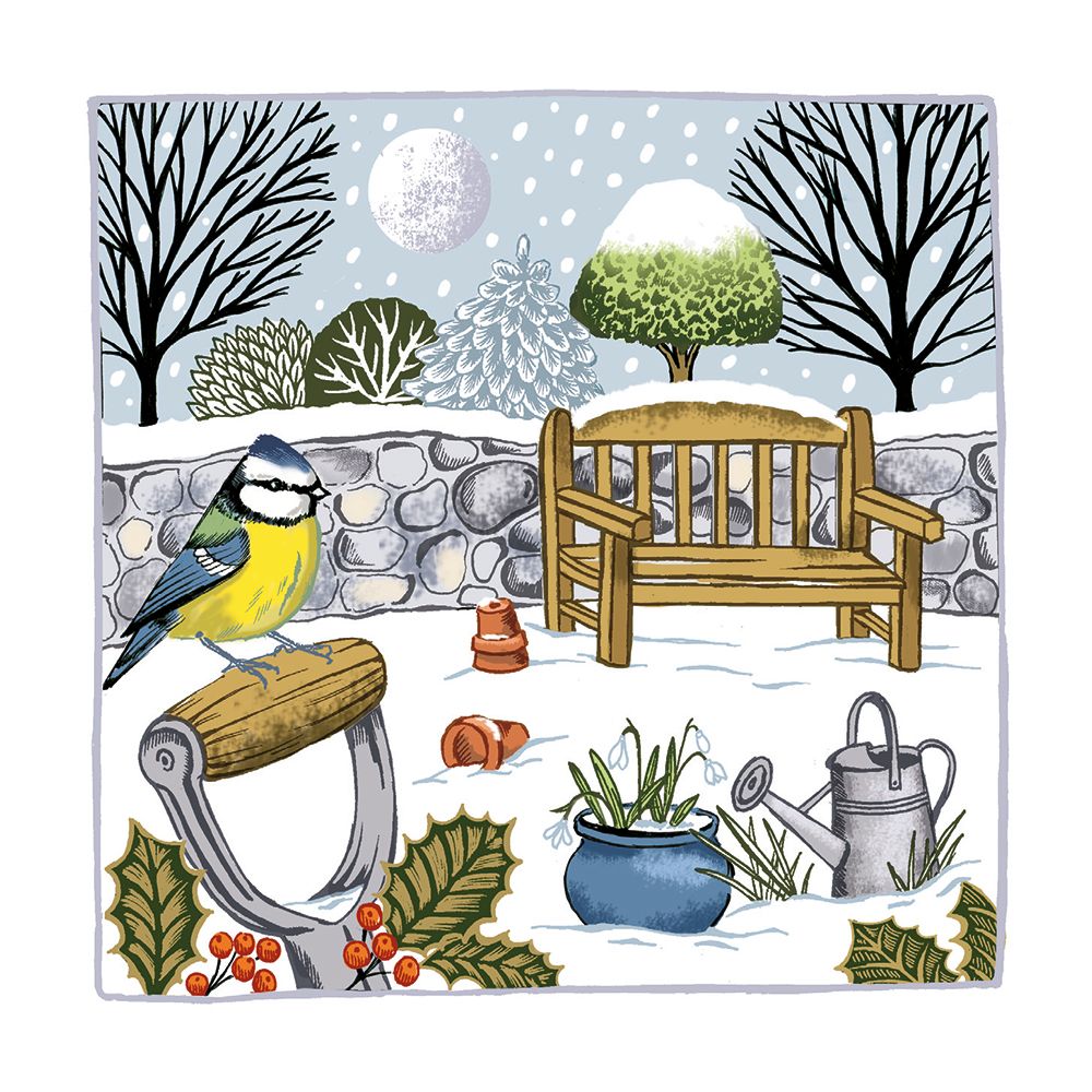 Winter Blue Tit by Deva Evans Pack of 8 Christmas Cards