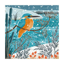 Winter Kingfisher by Liane Payne Pack of 8 Christmas Cards