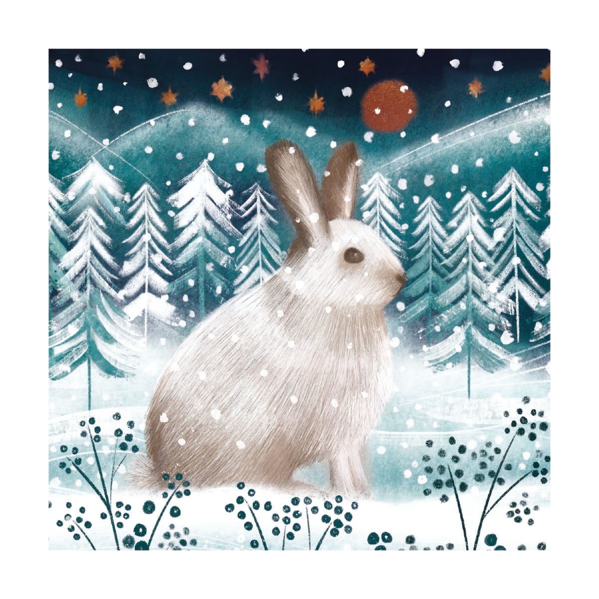 Arctic Hare by Catherine Worsley Pack of 8 Christmas Cards