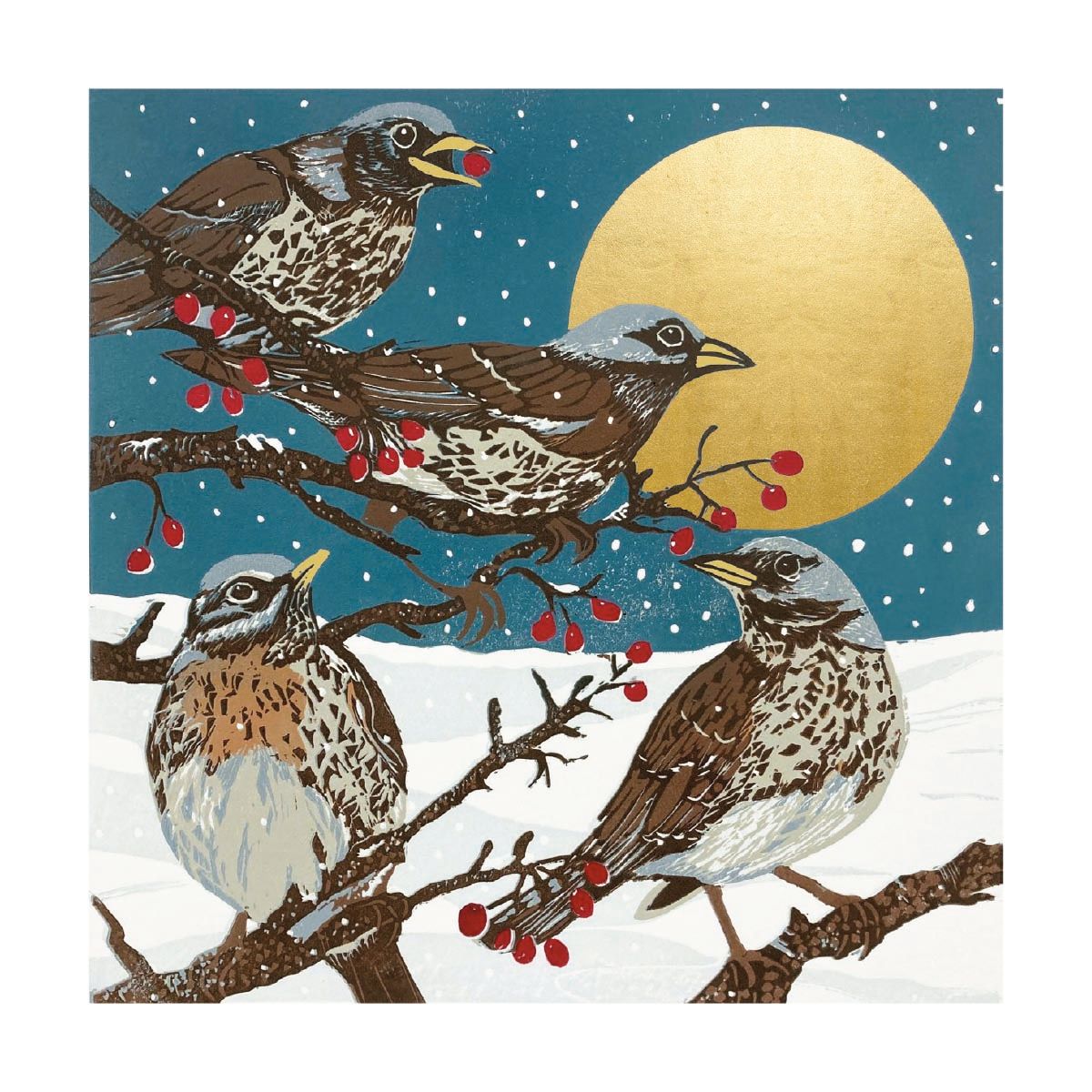 Winter Visitors by Sue Welfare Pack of 8 Christmas Cards