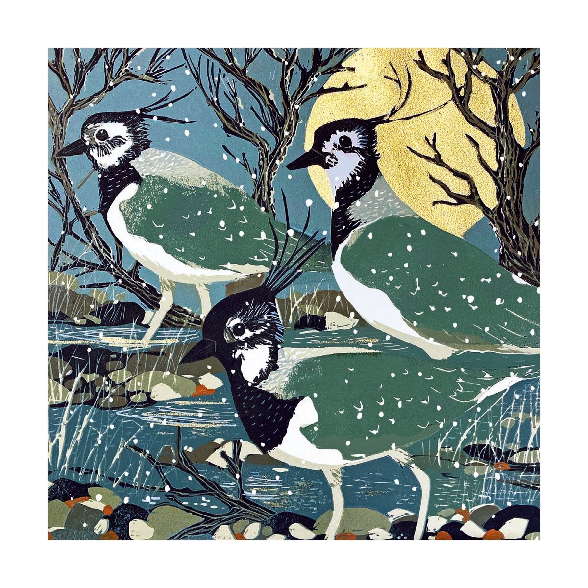 Lapwings by Sue Welfare Pack of 8 Christmas Cards