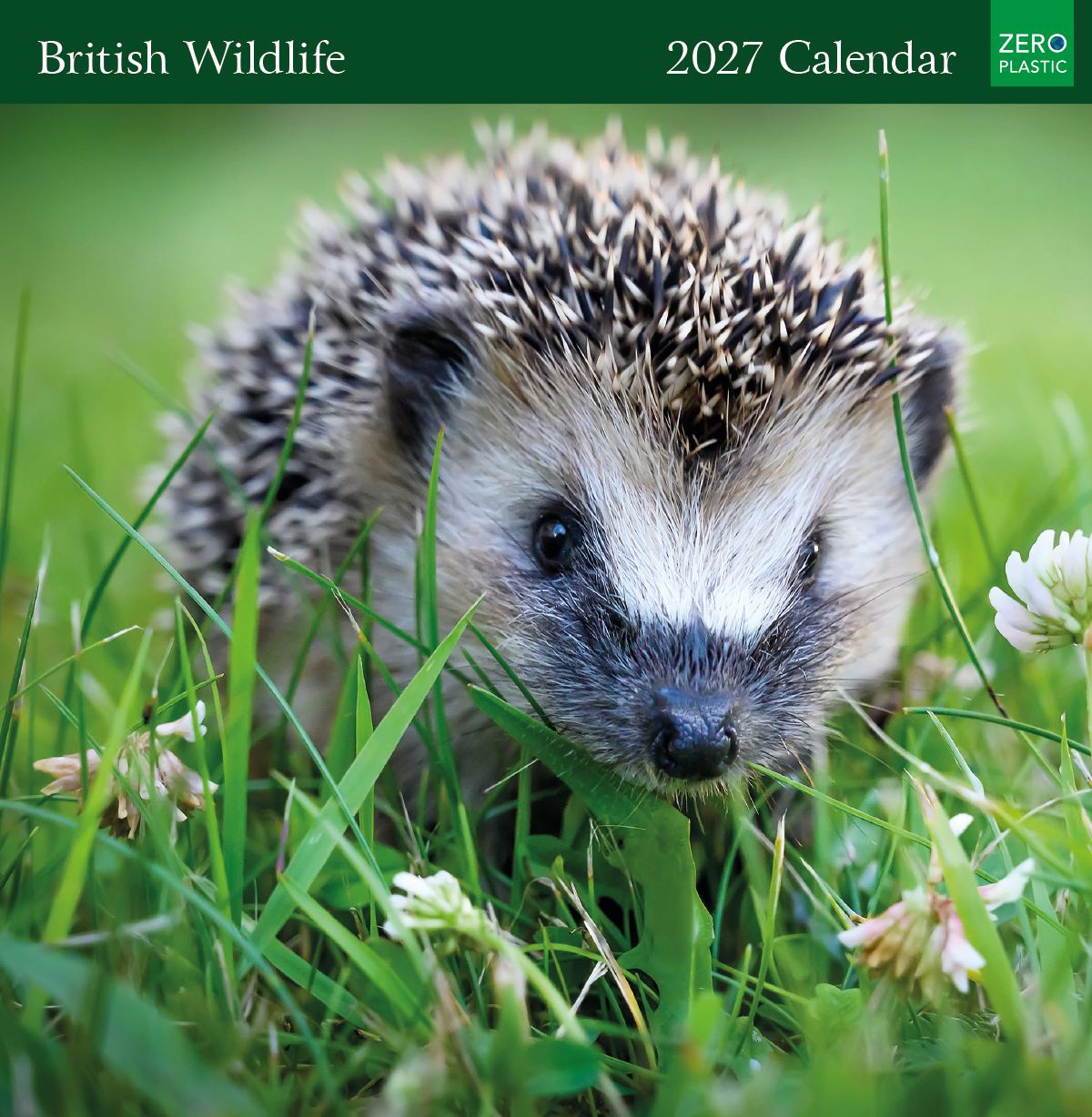 British Wildlife 2027 Square Wall Calendar