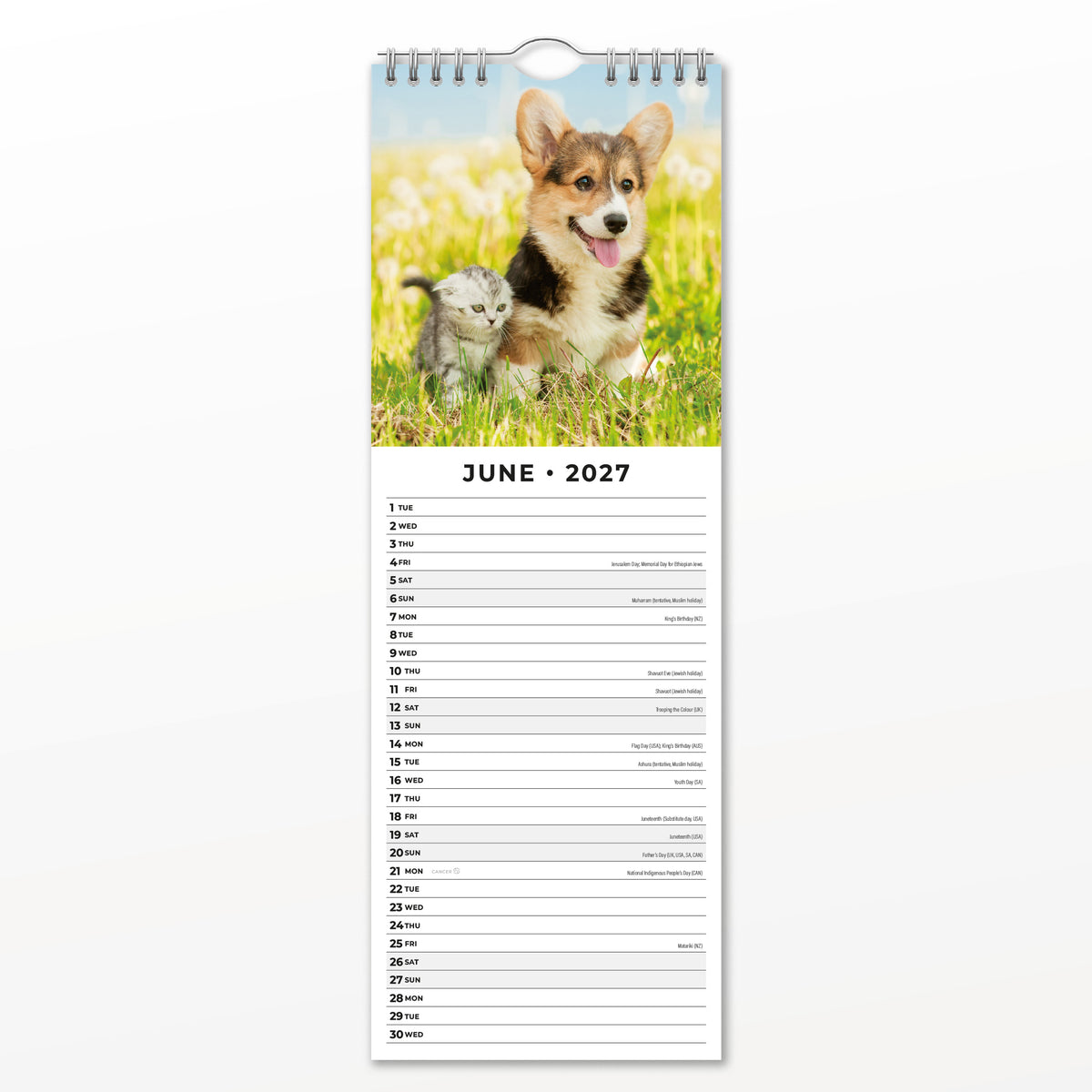 Cats & Dogs 2027 Slim Wall Calendar