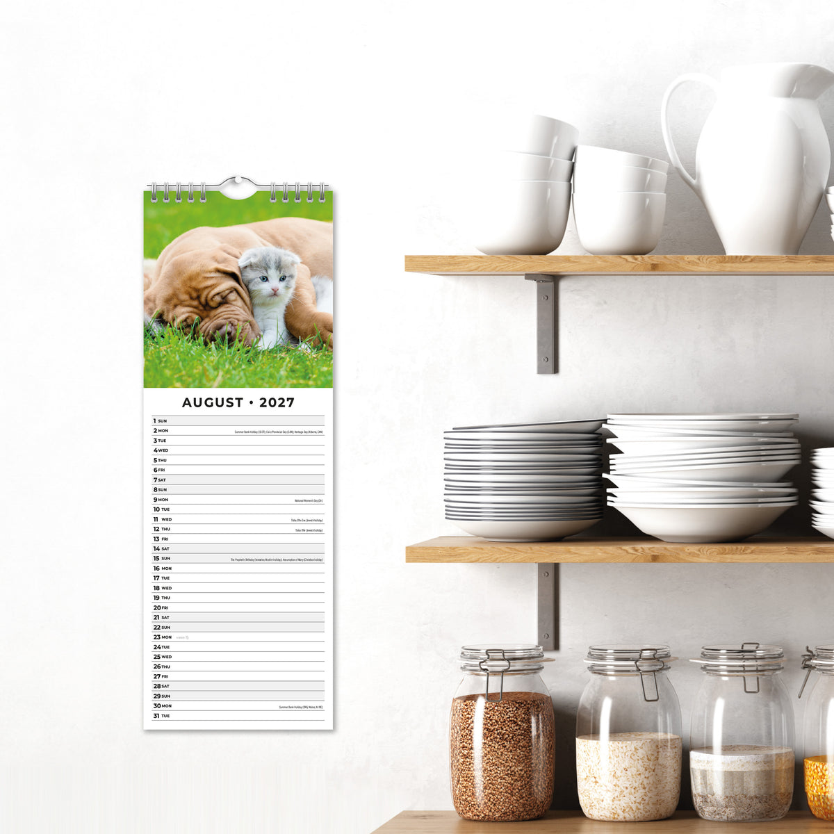 Cats & Dogs 2027 Slim Wall Calendar