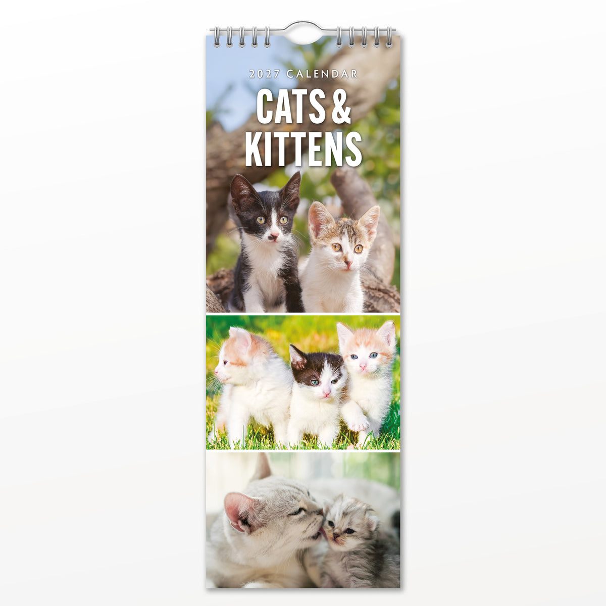 Cats & Kittens 2027 Slim Wall Calendar