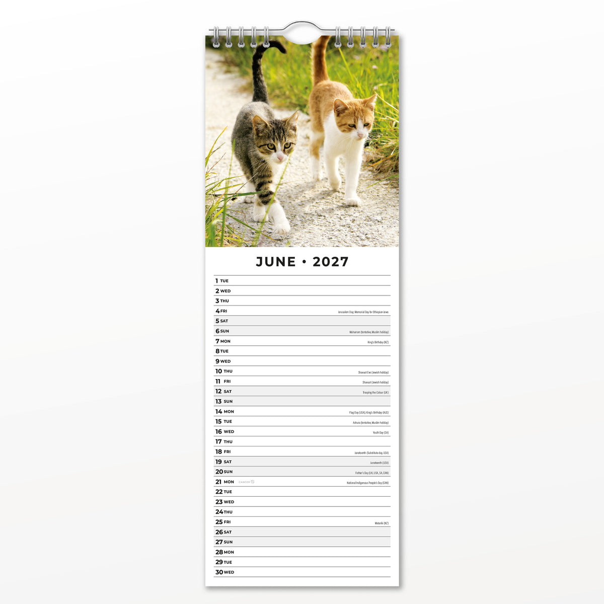 Cats & Kittens 2027 Slim Wall Calendar
