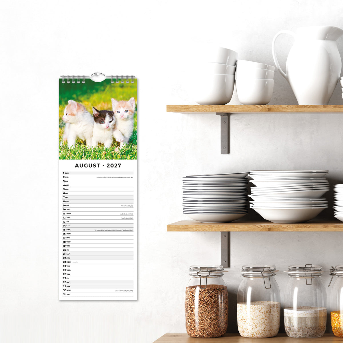 Cats & Kittens 2027 Slim Wall Calendar