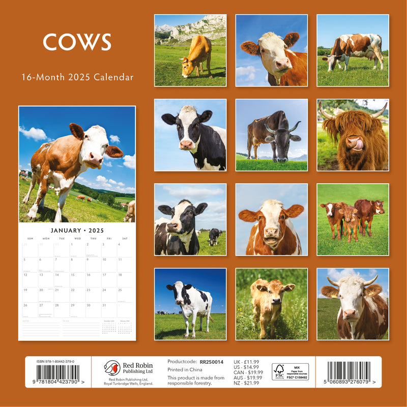 Cows 2025 Square Wall Calendar