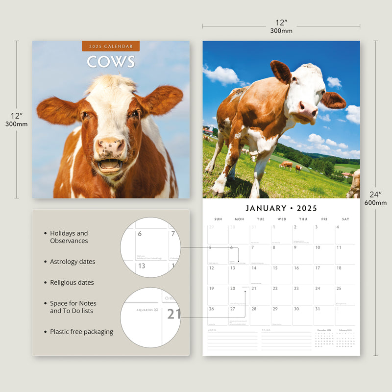 Cows 2025 Square Wall Calendar