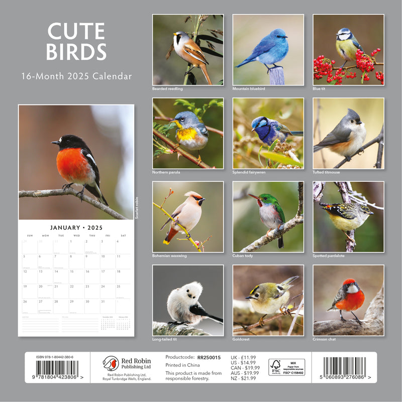 Cute Birds 2025 Square Wall Calendar